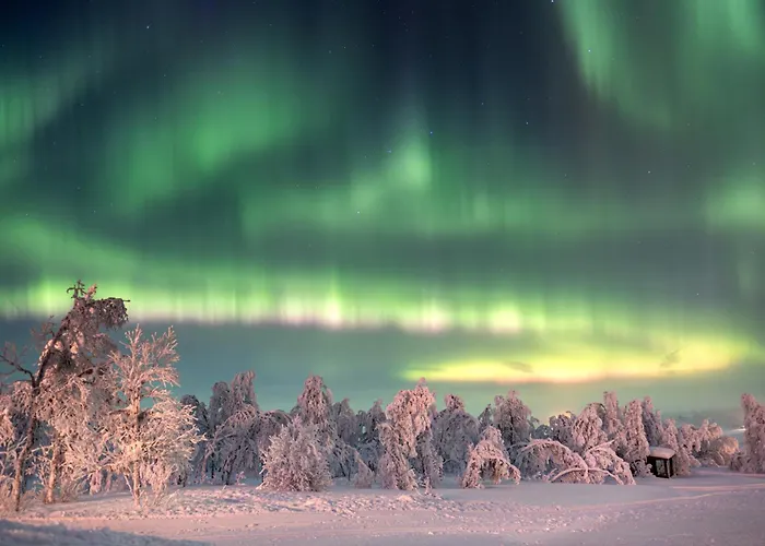 Leave It * Venabygd